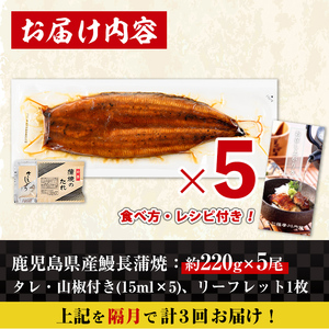 【3回定期便(隔月)】鹿児島県産 うなぎ蒲焼 特大 サイズ 5尾セット ＜（約220g×5・計約1100g）×全3回＞ 【薩摩川内鰻】 i1176-B