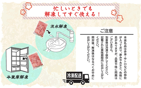 天然本マグロ 切り落とし 大容量パック ５００ｇ 天然まぐろ 本マグロ 刺身 中トロ 赤身 まぐろ丼 家族みんなで 手巻き寿司 寿司 天然 まぐろ マグロ 簡単 時短 冷凍 魚介 海鮮 トロ 鮪 人気 返礼品 三重県 尾鷲市 CH-106