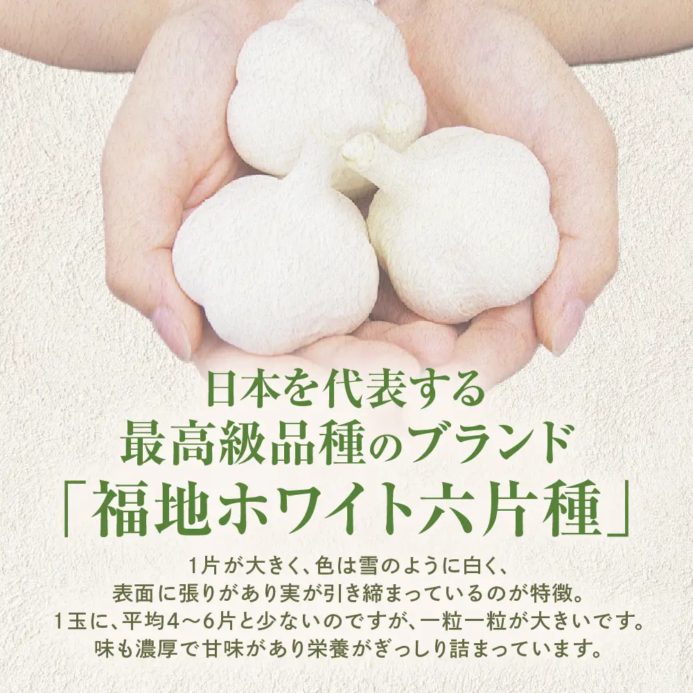 青森県産にんにく 使用！ 七味にんにく 75g×３本