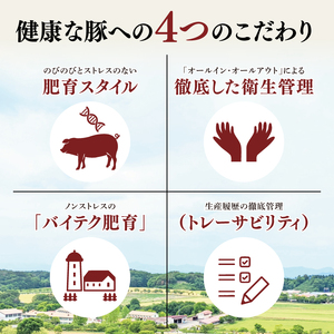 【茨城県共通返礼品】国産まごころ豚ハンバーグ100g×10個【高品質 豚肉 銘柄豚 ブランド豚 人気豚肉 個包装 冷凍 茨城県産 阿見町】(92-01)