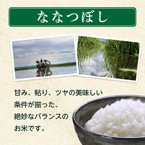 【6回定期便】白米 特A ななつぼし 5kg 無洗米 真空パック 北海道 旭川市 定期便 精米 _05390