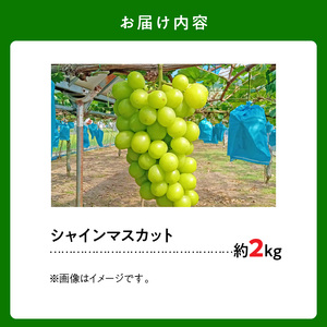 マルショウぶどう園　【先行予約】シャインマスカット約2kg _U91-0005_1