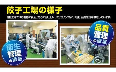 【自家製】小見川名物餃子　25個入  OGS001