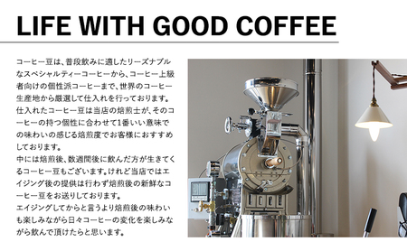 787 Nanohana Coffee Roaster 3種お任せセット 各50g(豆or粉) 浅煎り 中煎り 深煎り コーヒー 珈琲 おすすめ 人気 粉