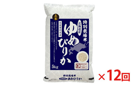 玄米 北海道赤平産 ゆめぴりか 5kg 特別栽培米 【12回お届け】 米 北海道 定期便 ふるさと納税 お米 