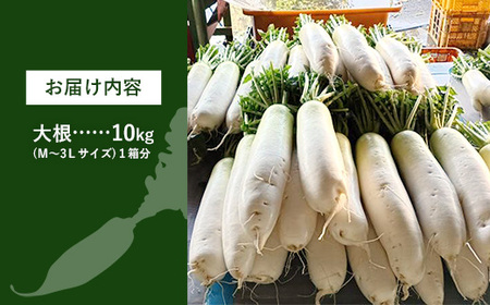 【きあり農園】2026年度 幸手市産 大根 10kg - 朝採れ ダイコン だいこん 産地直送 野菜 ベジタブル 美味しい おいしい 煮物 鍋 おでん おすすめ 送料無料 埼玉県 幸手市