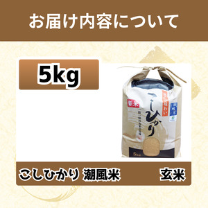 こしひかり 5kg 玄米 令和7年産 潮風米 ご飯 おにぎり ごはん お弁当 ギフト 贈答 プレゼント お取り寄せ グルメ 保存 防災 備蓄 送料無料 徳島 小松島