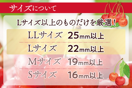 FYN6-525 ≪2026年先行予約≫山形県産 さくらんぼ 品種おまかせ(佐藤錦・紅秀峰など) 800g(400g×2) 秀/L以上 バラパック詰め 2026年6月中旬頃より発送 果物 くだもの フルーツ 夏果実 サクランボ チェリー 桜桃 高級 化粧箱 ギフト箱 贈り物 贈答 ギフト プレゼント 自宅 家庭 産地直送 山形県 西川町 月山