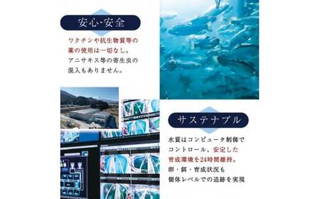 富士頂純サーモン 刺し身セット 半身分2分割 450g以上 富士山麓のきれいな天然水で養殖された安心安全なサーモン 完全無投薬・ワクチンフリー・アニサキスフリー・サステナブルな養殖サーモン フィレ 切り身 皮なし 骨なし 骨取り 生食 ムニエル 刺身 [注目]【n0556-0450_nes】