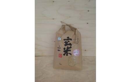 【令和7年産】有機JAS転換期間中有機農産物 らんこし産 玄米 ゆめぴりか 5kg（中村農場）お米 米 【2025年10月上旬～2026年7月下旬発送予定】