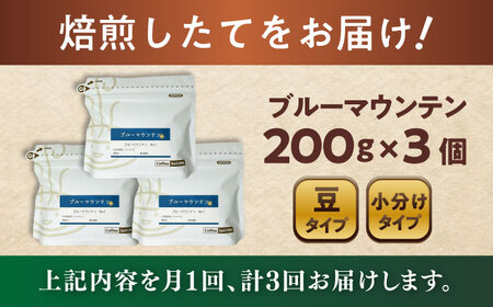 【全3回定期便】ブルーマウンテンNo.1　コーヒー豆　200g×3個 (豆)  / コーヒー  ドリップ  豆 / Coffee SAKURA[BBAB079]