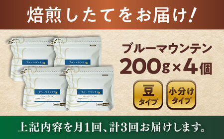 【全3回定期便】ブルーマウンテンNo.1　コーヒー豆　200g×4個 (豆)  / コーヒー  ドリップ  豆 / Coffee SAKURA[BBAB083]
