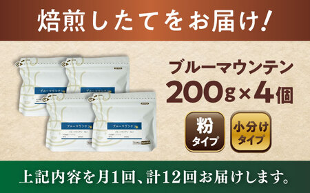 【全12回定期便】ブルーマウンテンNo.1　コーヒー粉　200g×4個(粉/中挽き)  / コーヒー  ドリップ  粉 / Coffee SAKURA[BBAB097]