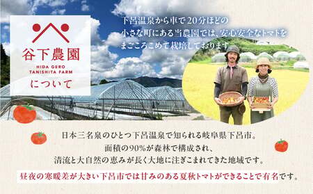 プレミアム トマトジュース（180ml×30本) 【谷下農園】【61-22】