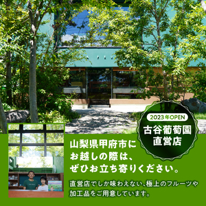 山梨県・甲府市　ぶどうの樹オーナー制度（3年生育樹)【シャインマスカット・90房収穫保証】