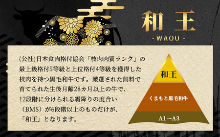 【定期便2回】くまもと 黒毛和牛 (和王) 年末年始 に嬉しい すきしゃぶ・焼肉 定期便【12月/1月配送】合計820g ブランド牛 肉 ロース モモ すき焼き すきやき スキヤキ しゃぶしゃぶ シャブシャブ 焼き肉 やきにく 牛肉 お肉 定期便 年末 年始 年内 発送 プレミアム品質 122-0602