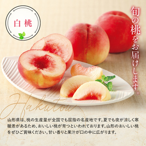 【令和8年産先行予約】 晩成のもも「だて白桃・さくら・西王母 等」 約3kg (6～11玉) 《令和8年9月中旬～発送》 『生産者 高橋 賢一』 山形県 南陽市 [1107-R8]
