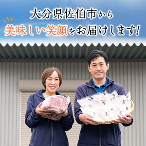 ＜定期便・全6回 (2か月ごとの発送)＞厚切り 塩味 牛タン (総量2.4kg) 定期便 小分け 牛肉 肉 タン 牛たん 味付け 焼肉 塩 BBQ 冷凍 大分県 佐伯市【DH316】【ネクサ】