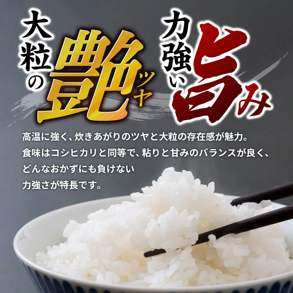 令和7年産【白米】群馬県 板倉町産 にじのきらめき 5kg