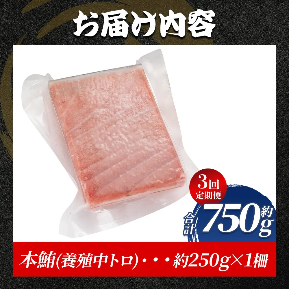 【定期便/計3回】本マグロ 中トロ 250g【まぐろ】 Woo-0028