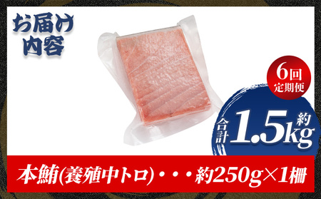 【定期便/計6回】本マグロ中トロ250g（計1.5kg）【まぐろまぐろまぐろまぐろまぐろまぐろまぐろまぐろまぐろまぐろまぐろまぐろまぐろまぐろまぐろまぐろまぐろまぐろまぐろまぐろまぐろまぐろまぐろまぐろまぐろまぐろまぐろまぐろまぐろまぐろまぐろまぐろまぐろまぐろまぐろまぐろまぐろまぐろまぐろまぐろまぐろまぐろまぐろまぐろまぐろまぐろまぐろまぐろまぐろまぐろまぐろまぐろまぐろまぐろまぐろまぐろまぐろまぐろまぐろまぐろまぐろまぐろまぐろまぐろまぐろまぐろまぐろまぐろまぐろまぐろまぐろまぐろまぐろまぐろまぐろまぐろまぐろまぐろまぐろまぐろまぐろまぐろまぐろまぐろまぐろまぐろまぐろまぐろまぐろまぐろまぐろまぐろまぐろまぐろまぐろまぐろまぐろまぐろまぐろまぐろまぐろまぐろまぐろまぐろまぐろまぐろまぐろまぐろまぐろまぐろまぐろまぐろまぐろまぐろまぐろまぐろまぐろまぐろまぐろまぐろまぐろまぐろまぐろまぐろまぐろまぐろまぐろまぐろまぐろまぐろまぐろまぐろまぐろまぐろまぐろまぐろまぐろまぐろまぐろまぐろまぐろまぐろまぐろまぐろまぐろまぐろまぐろまぐろまぐろまぐろまぐろまぐろまぐろまぐろまぐろまぐろまぐろまぐろまぐろまぐろまぐろまぐろまぐろまぐろまぐろまぐろまぐろまぐろまぐろまぐろまぐろまぐろまぐろまぐろまぐろまぐろまぐろまぐろまぐろまぐろまぐろまぐろまぐろまぐろまぐろまぐろまぐろまぐろまぐろまぐろまぐろまぐろまぐろまぐろまぐろまぐろまぐろまぐろまぐろまぐろまぐろまぐろまぐろまぐろまぐろまぐろまぐろまぐろまぐろまぐろまぐろまぐろまぐろまぐろまぐろまぐろまぐろまぐろまぐろまぐろまぐろまぐろまぐろまぐろまぐろまぐろまぐろまぐろまぐろまぐろまぐろまぐろまぐろまぐろまぐろまぐろまぐろまぐろまぐろまぐろまぐろまぐろまぐろまぐろまぐろまぐろまぐろまぐろまぐろまぐろまぐろまぐろまぐろまぐろまぐろまぐろまぐろまぐろまぐろまぐろまぐろまぐろまぐろまぐろまぐろまぐろまぐろまぐろまぐろまぐろまぐろまぐろまぐろまぐろまぐろまぐろまぐろまぐろまぐろまぐろまぐろまぐろまぐろまぐろまぐろまぐろまぐろまぐろまぐろまぐろまぐろまぐろまぐろまぐろまぐろまぐろまぐろまぐろまぐろまぐろまぐろまぐろまぐろまぐろまぐろまぐろまぐろまぐろまぐろまぐろまぐろまぐろまぐろまぐろまぐろまぐろまぐろ】  Woo-0029
