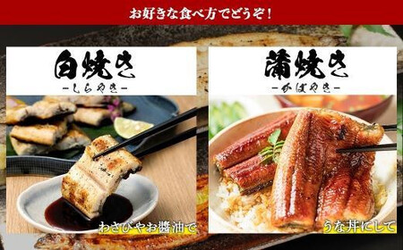 鹿児島県 大隅産 千歳鰻 白焼き 5尾・ 蒲焼 5尾　合計10尾セット（1尾110g～130g）| 白焼き