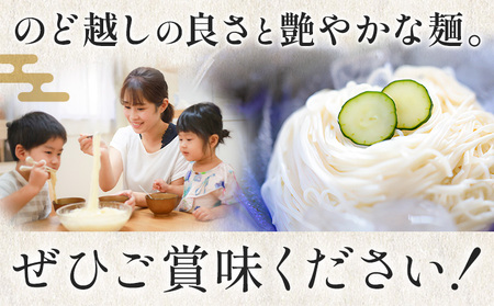 そうめん 素麺 手延べ 手延べそうめん 3kg (50g×60束)お試し 宮田製麺株式会社《30日以内に出荷予定(土日祝除く)》岡山県 浅口市 送料無料 麺 贈答用 ギフト お取り寄せ お歳暮 乾麺 素麺 麺類 備蓄 特産品 グルメ 小分け