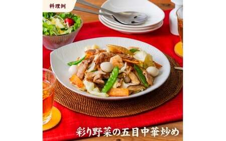 愛媛県産 豚こまぎれ（モモ･カタ） 500g 6個 計3kg 豚 細切れ こま切れ 豚こま 赤身 カタ肉 モモ肉 ポーク 冷凍 国産 愛媛 （915）