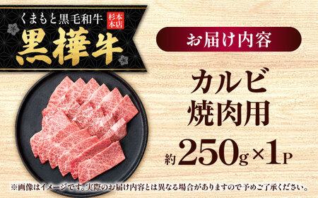 くまもと黒毛和牛 黒樺牛 A4〜A5等級 カルビ 焼肉用 約250g 黒毛和牛 カルビ焼肉[AYBJ031]
