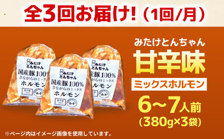 【3回定期便】 「元祖みたけとんちゃん」 昔ながらのミックスホルモン 3袋（6人前） / モツ もつ レバー ホルモン / 御嵩町 / 藤よし[AVAA085]
