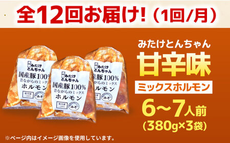 【12回定期便】昔ながらのミックスホルモン 3袋（6人前） / モツ もつ レバー ホルモン / 御嵩町 / 藤よし[AVAA087]