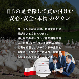 羽毛布団 ポーランドダックダウン85％ セミダブル 布団
