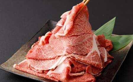 ＜黒毛和牛切り落とし 500g×1パック＞翌月末迄に順次出荷 【c1455_tu】 黒毛和牛 和牛 牛肉 肉 切り落とし 切落し お肉 国産 九州産 冷凍 宮崎県 高鍋町