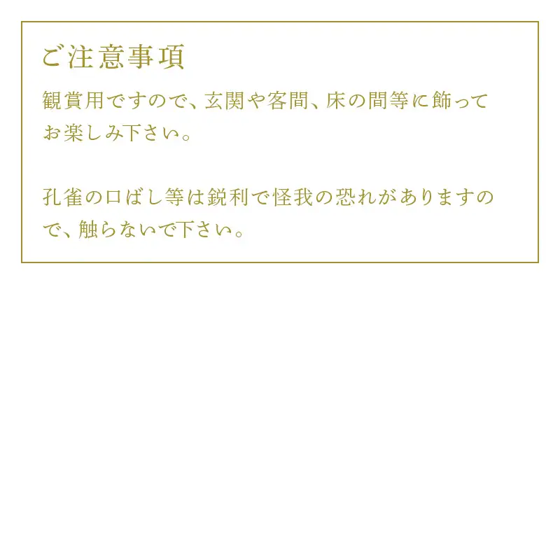 金属製 夫婦(めおと)孔雀 観賞用 装飾品 工芸 置物 透明プラスティックケース