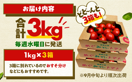 完熟 めぐみでぃトマト 3kg （毎週水曜日発送） / とまと トマト 完熟トマト 高糖度 トマト 取り寄せ / 小浜市 / 若狭の恵 【配送不可地域：離島】[BFAG030]