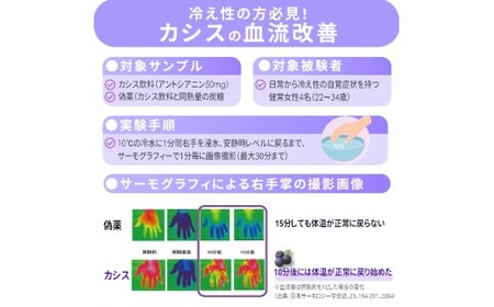 BMP カシスパウダー 3kg（100g×30袋）（カシス濃縮果汁粉末）