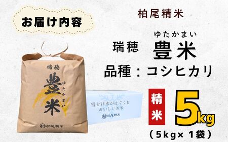 コシヒカリ 5kg 令和7年産【豊米】コシヒカリ 長野県 飯山市（7-52B）
