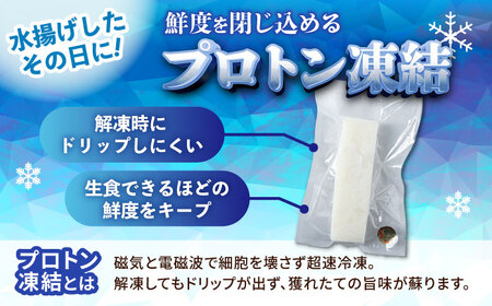 海鮮 セーイカ (そでいか) 0.6kg (300g ×2パック)
