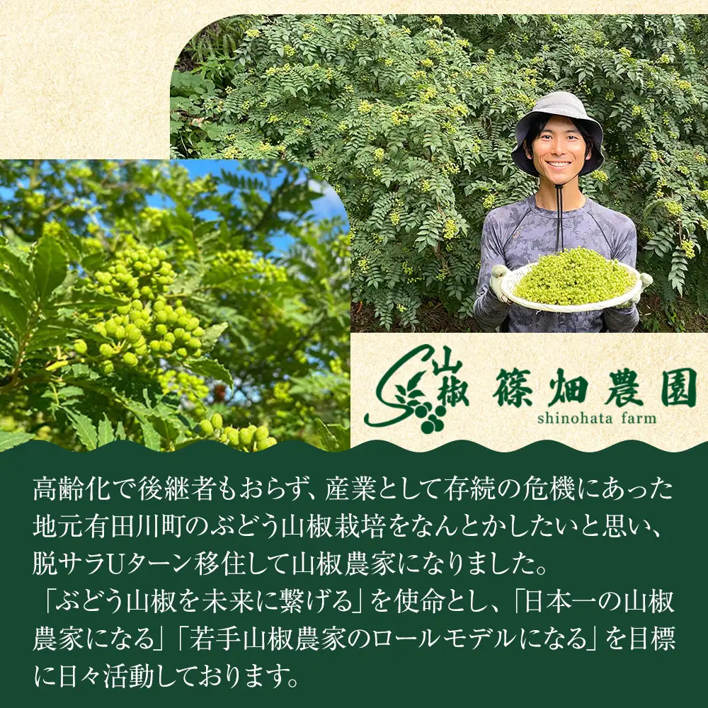 紀州ぶどう山椒【粉】 3袋  (合計18g) 篠畑農園