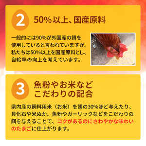 卵 わずか4%の希少な純国産鶏 いけだの森たまご 30個 こだわり おこめのたまご 玉子 鶏卵 生卵 産地直送 冷蔵配送 TKG 卵かけご飯 岐阜県産 