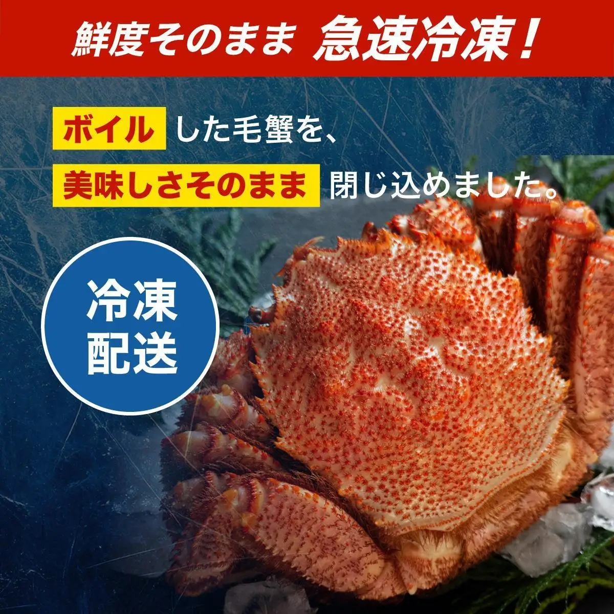 毛ガニ（姿身）Mサイズ 2尾 ogm-016