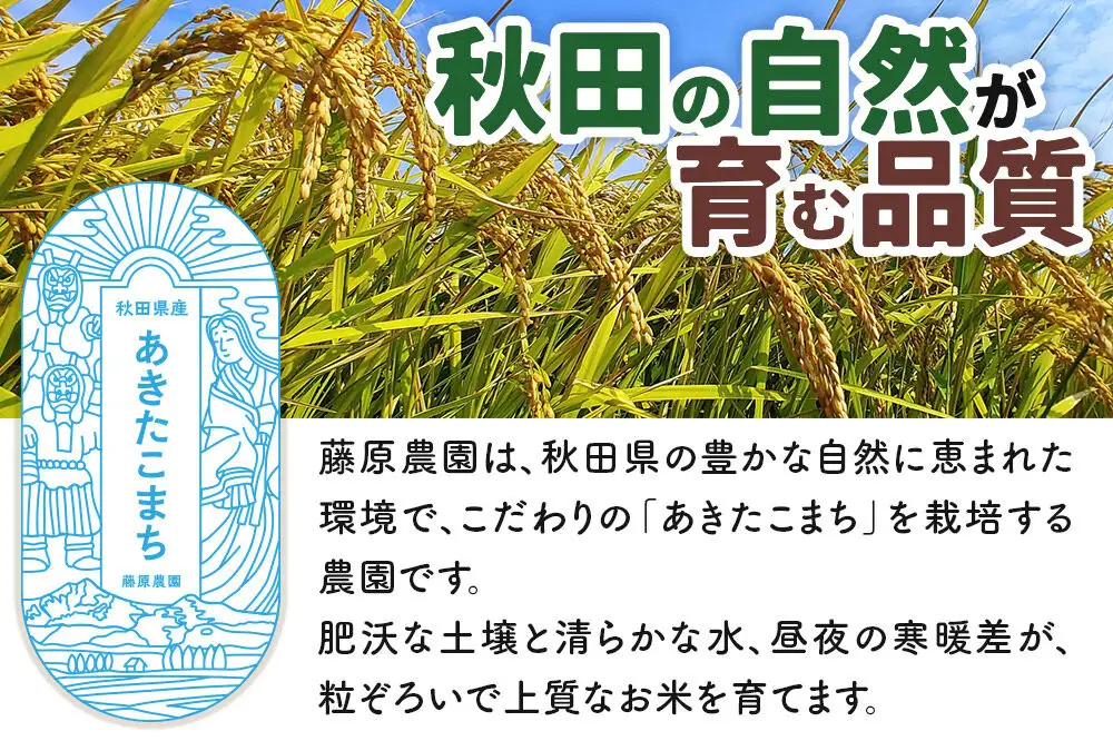 【令和８年産 新米予約】あきたこまち 精米 10kg（5kg×2袋） 秋田県北秋田市産 白米
