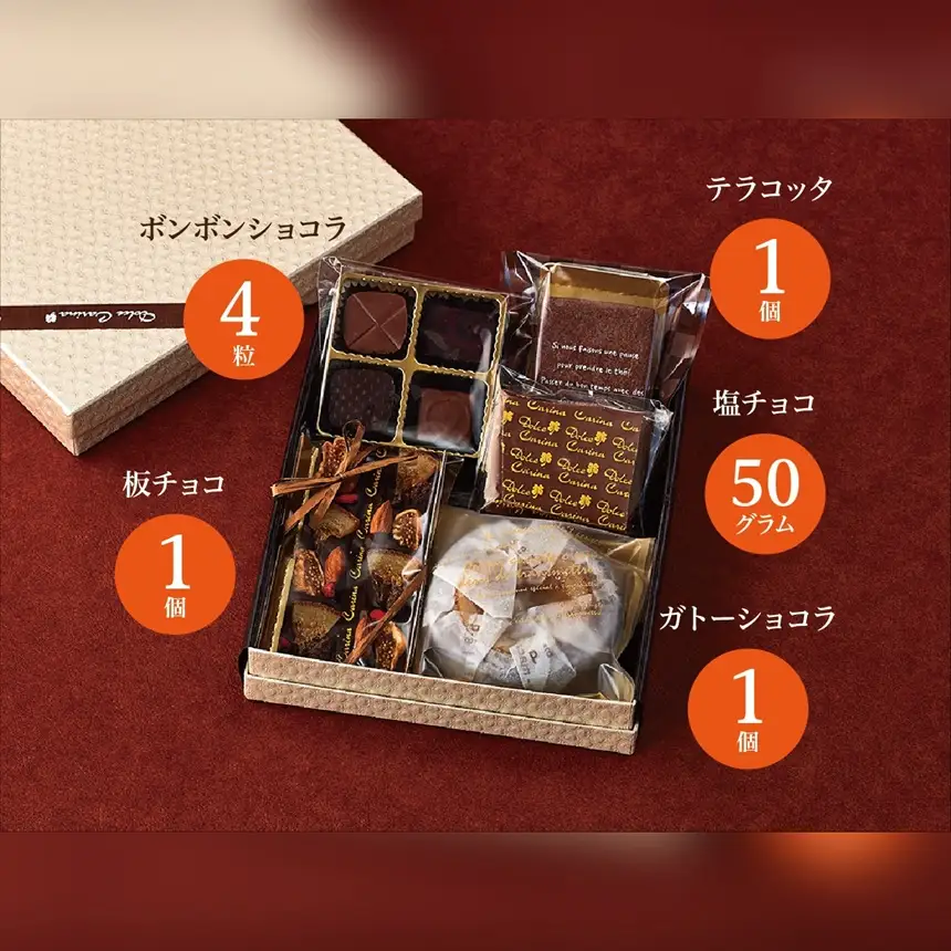 チョコレート ショコラ 詰め合わせ ギフト ガトーショコラ 塩チョコ テラコッタ 板チョコ ボンボンショコラ スイーツ ドルチェカリーナ セット 長野県 伊那市 【016-17】