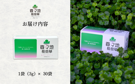 香々地長命草パウダー（3g×30包入） | 青汁　香々地ベジファーム　豊後高田市