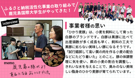 【定期便全3回】ひかり麦豚 わんぱく定期便 ≪月替わりで焼肉・ハンバーグ・餃子をお届け！≫ 冷凍 HM-10 | 肉 お肉 にく 豚肉 焼き肉 ロース肉 肩ロース バラ肉 ハンバーグ ギョウザ ぎょうざ 真空冷凍 産地直送 小分け パック 手作り 鹿児島県 南大隅町 ひかり麦豚直売所