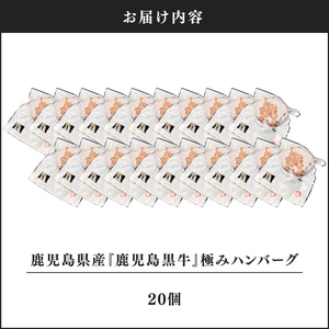 1196 鹿児島県産『 鹿児島黒牛 』A5ランク 極めた ハンバーグ 20個【うしの中山】 KN050-001-04 肉 牛肉 冷凍 黒毛和牛 惣菜 総菜