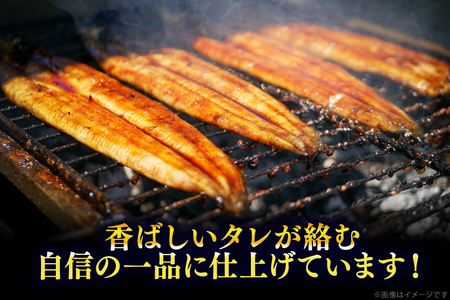 【定期便3回】うなぎ 蒲焼 特大  訳あり 3尾 [um40bak830015] うなぎ
