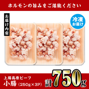 上場高原ビーフ 小腸 ホルモン 750g 【スーパーよしだ】 i1156