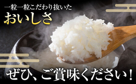  令和7年産 米 くまさんの輝き 白米 5kg 鶴地区龍の里ふるさと会《30日以内に出荷予定(土日祝除く)》熊本県 天草 苓北町 鶴 地区 龍 の里 国産 九州 熊本 名水 百選 5キロ 送料無料