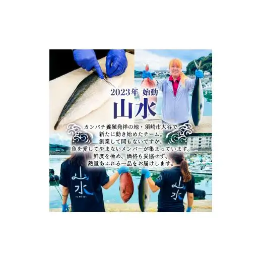 【 ぶり 】 ぶりたたき